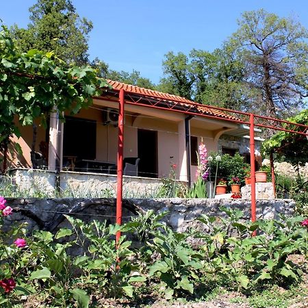 Holiday Home Gazevic Virpazar Luaran gambar