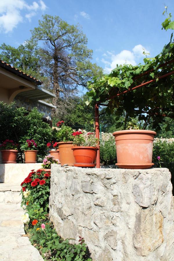 Holiday Home Gazevic Virpazar Luaran gambar
