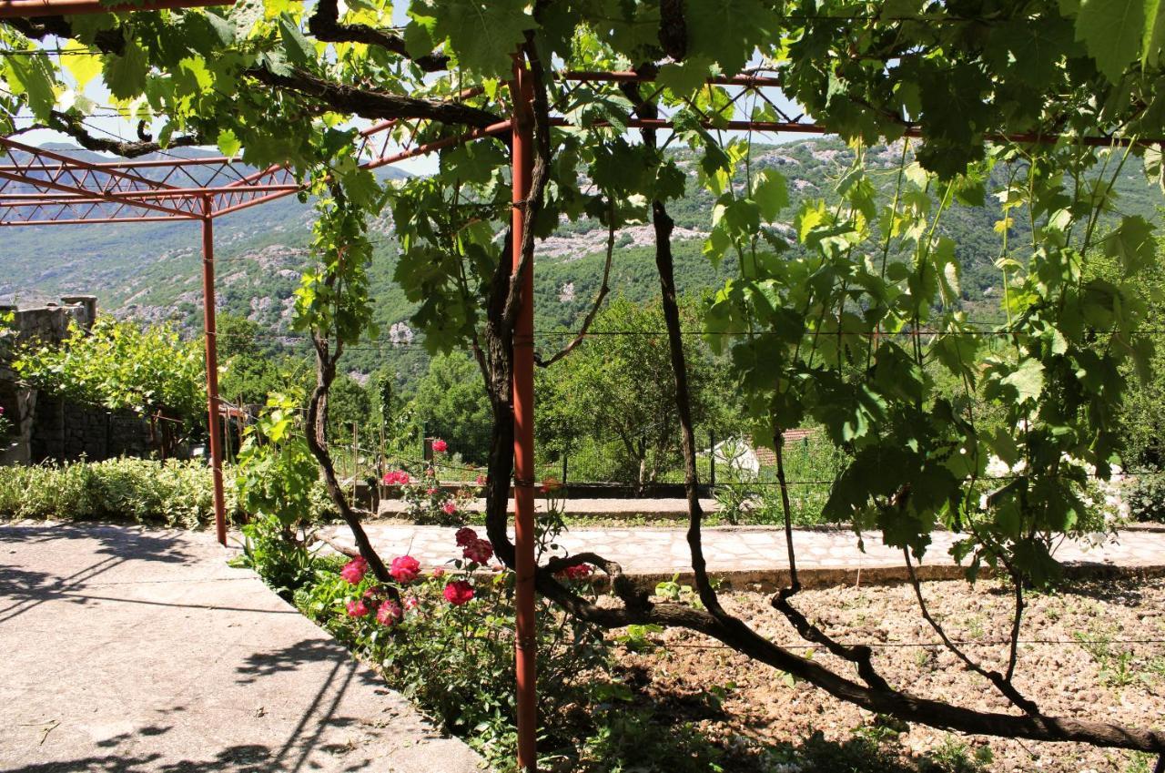 Holiday Home Gazevic Virpazar Luaran gambar