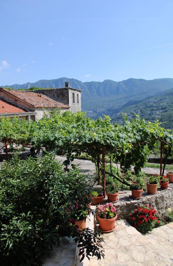 Holiday Home Gazevic Virpazar Luaran gambar